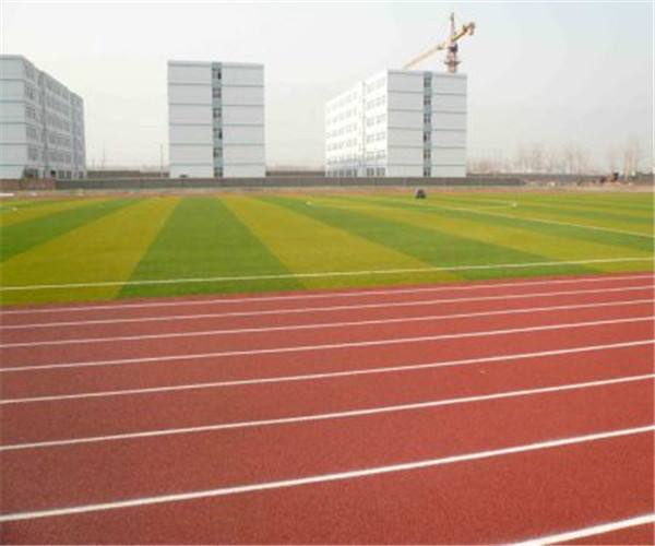 塑膠跑道每平方價格？